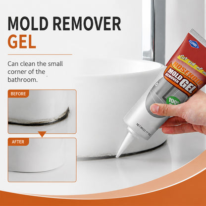 CLOROXCO Household Mold Remover Gel