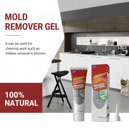 CLOROXCO Household Mold Remover Gel