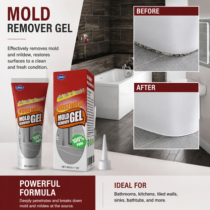 CLOROXCO Household Mold Remover Gel